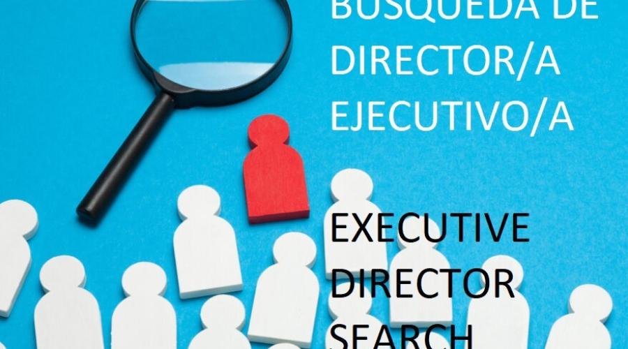 búsqueda de director executive director search
